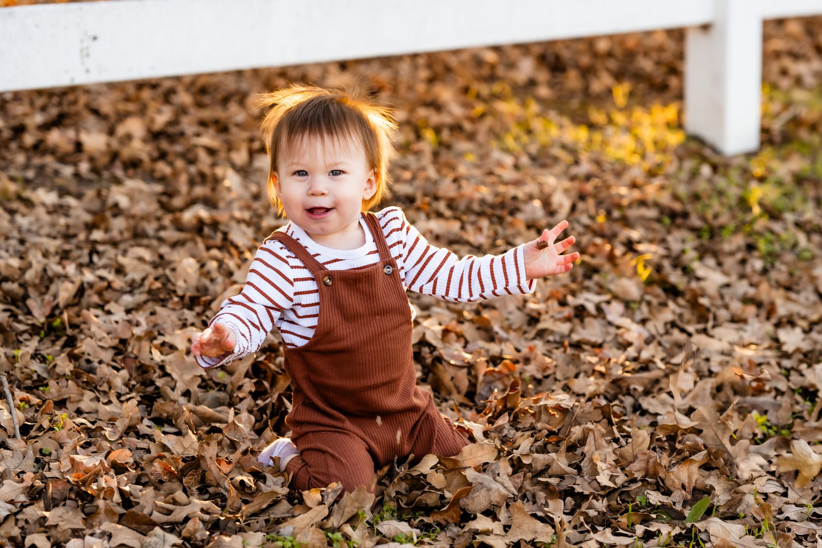 Close up of one year old boy in rust colored overalls playing in a pile of fallen leaves near a white fence at Green Acres Farm Memorial Park in Flower Mound, Texas.